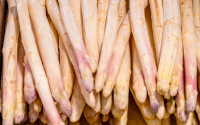 Sparrisfrossa på Golfen!